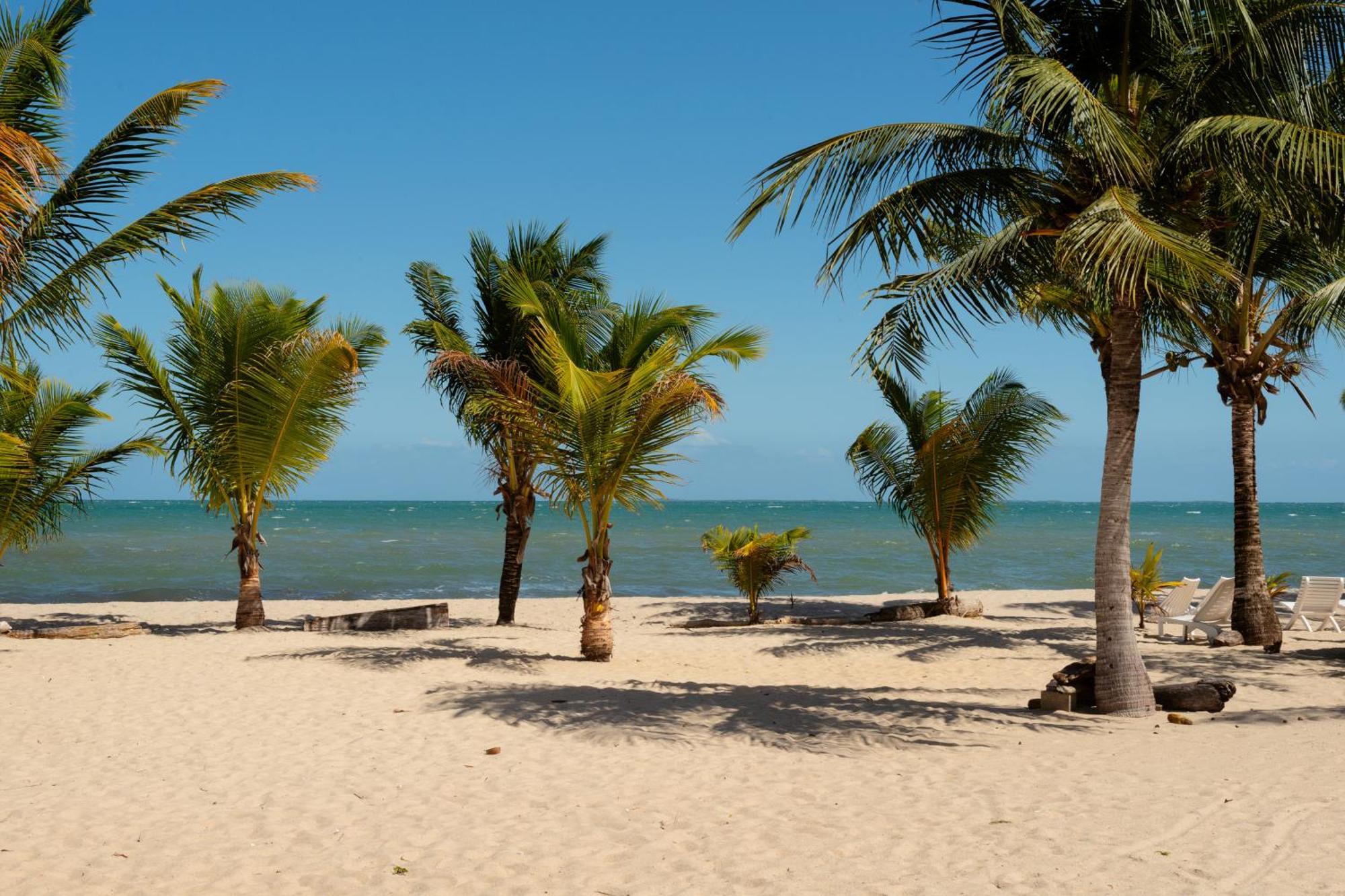 Sandy Feet Beach Resort Placencia Bagian luar foto